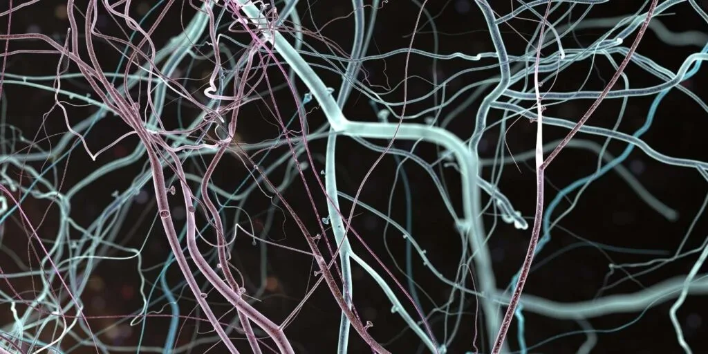 Aprenda a criar riqueza sem gerar miséria com a Tecno-Humanização